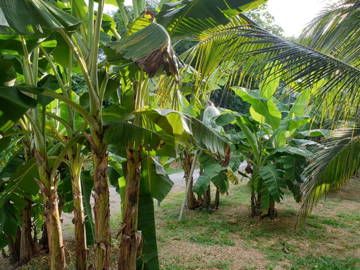 Готель Baan Suan Coconut Ко-Яо-Ной Екстер'єр фото