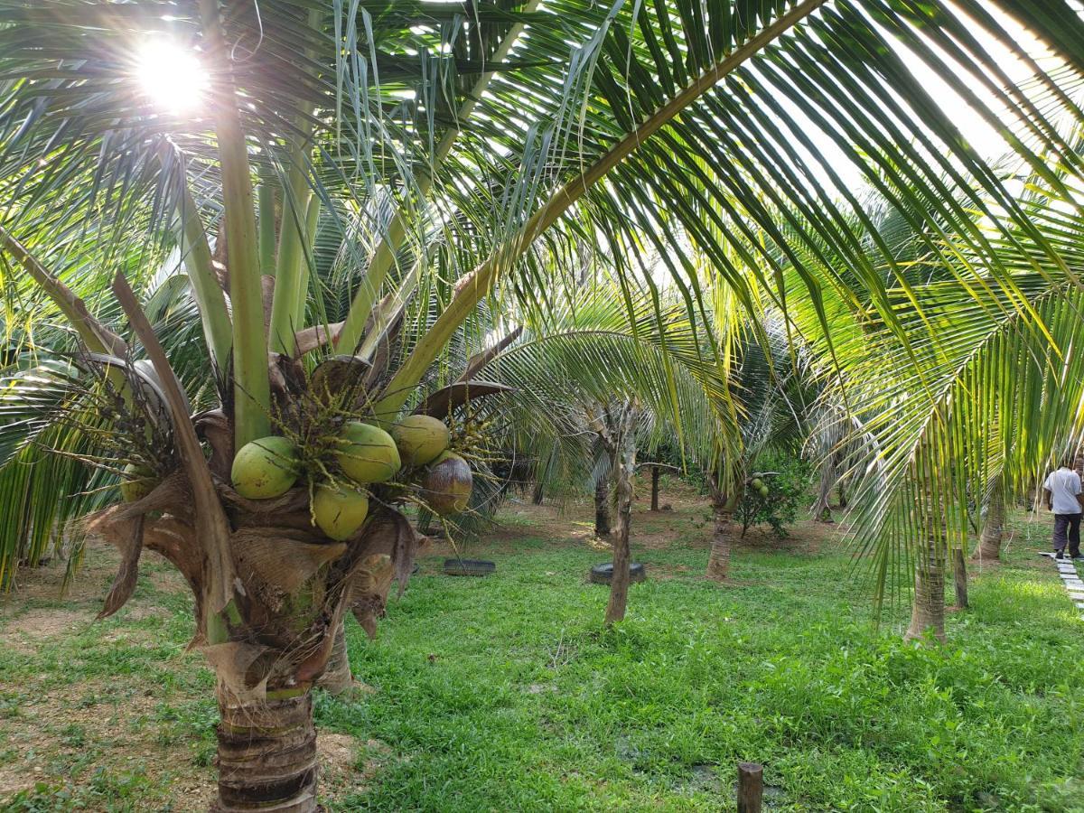 Готель Baan Suan Coconut Ко-Яо-Ной Екстер'єр фото